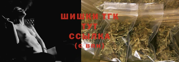 винт Чегем