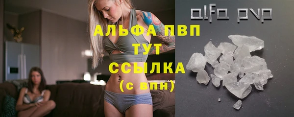 винт Чегем