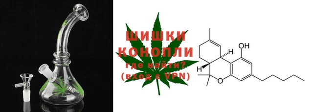 винт Чегем