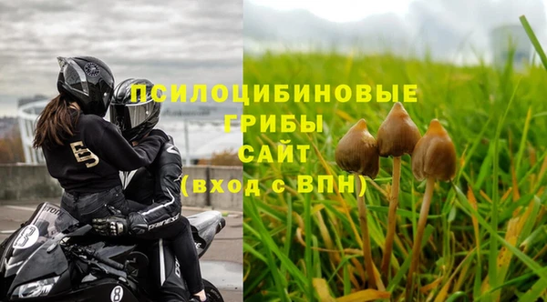 винт Чегем