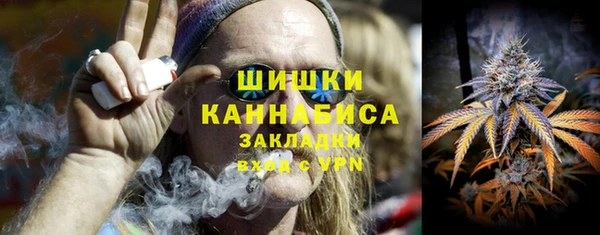 ПСИЛОЦИБИНОВЫЕ ГРИБЫ Чердынь