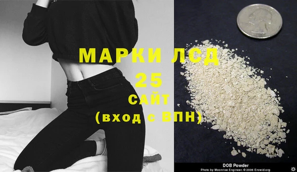 винт Чегем