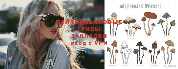 spice Чекалин