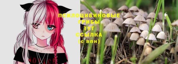 винт Чегем