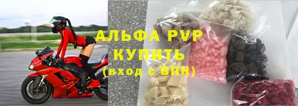 ПСИЛОЦИБИНОВЫЕ ГРИБЫ Чердынь
